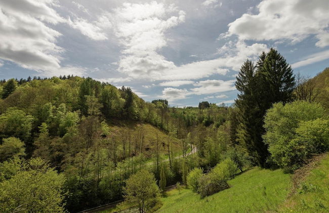 Magnificent Manor in Vresse-sur-semois With Sauna - Foto 36
