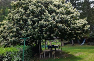 Casa Angiolino, angolo di pace vicino all'Orrido di Gea - Photo 35