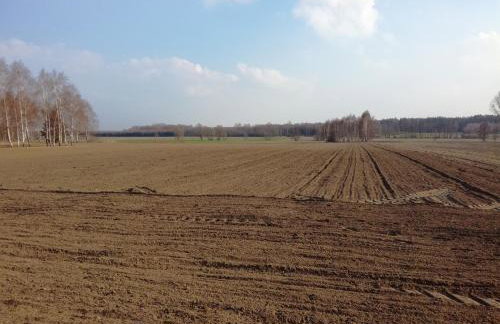 Nowa Wola 58 - 200qm appartment in a small village, with pool, sauna and big garden - Foto 69