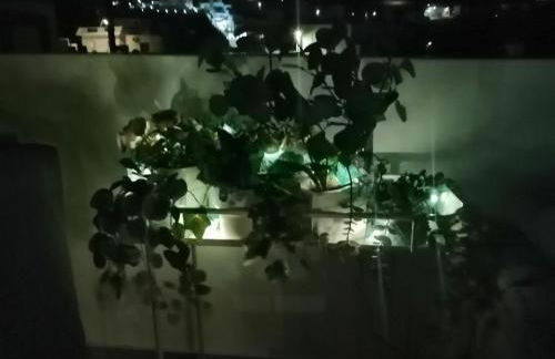 Blue Meadow - Foto 47