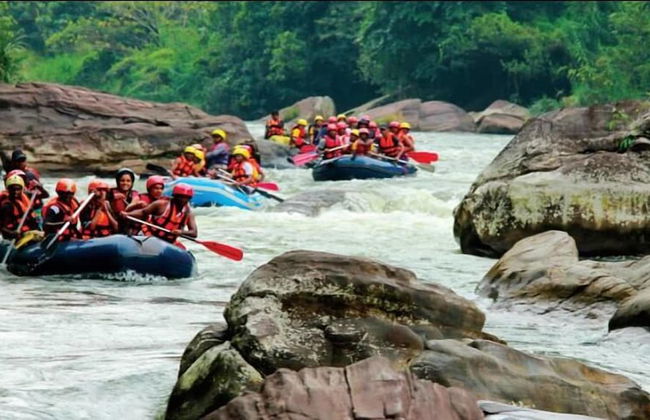 Clovefield Villa - Foto 24