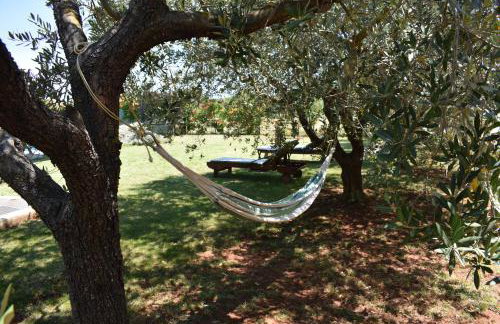 Holiday House Fontanele - Foto 77