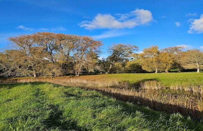 4 Person Holiday Home in Frederiksvaerk-by Traum - Foto 17