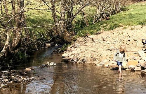 Idyllic countryside cabin with stream and lake - Foto 11