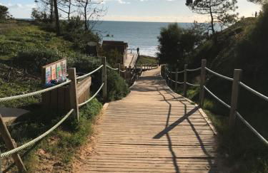 AP Roberand - Foto 20