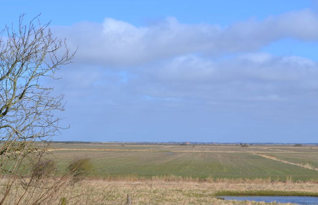 "Arik" - 700m from the sea - Foto 24