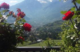 Schwarzplatterhof - Foto 1