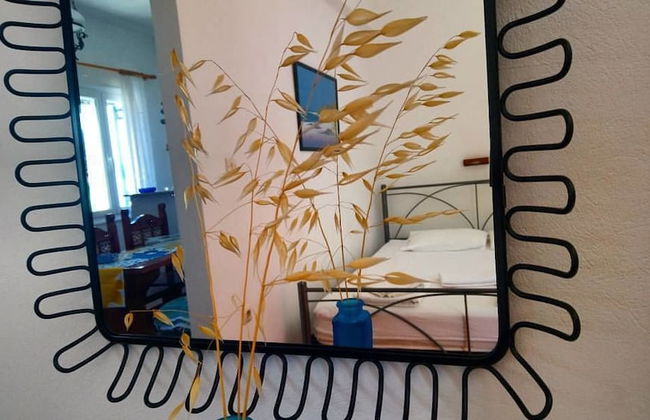 Captain Menegos Studios - Photo 7