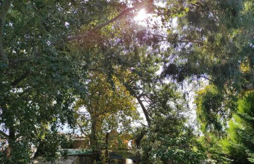 Σπίτι στην ακροθαλασσιά Casa al mare - Foto 1