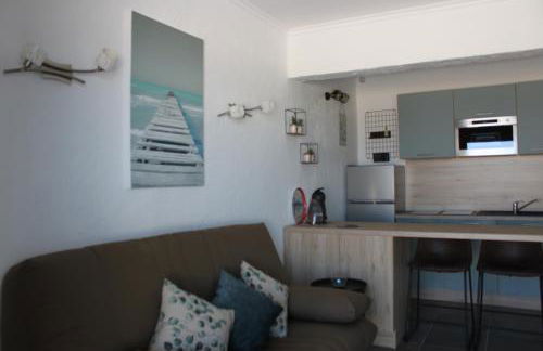 Appart Bleu Azur Piscine chauffée - Foto 63