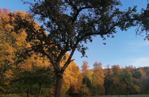 Ferienwohnungen an der Hufeland-Therme - Foto 30