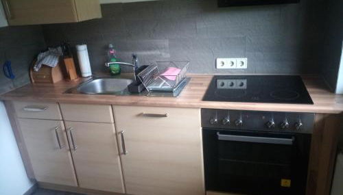 Ferienwohnung im idyllischen Neckartal - Foto 3