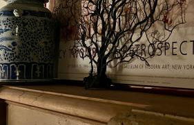 La Consulta - Foto 48