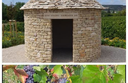 Appartement Indépendant Chagny - Foto 41