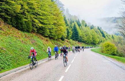 LE VERTBRUCHE - Gîte avec superbe vue pour 15 pers - Foto 44