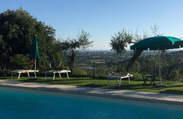 Azienda agricola Della Mezzaluna - Foto 34