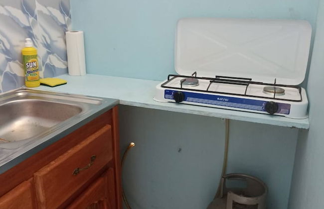 Logerthine Jan Suriname - Foto 2