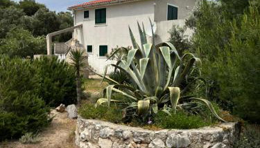 Do 8 osoba 3 sobe 2 terase - Foto 1, Garden