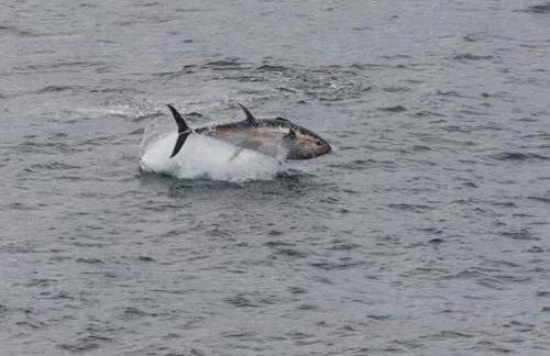 L'Imprenable vue mer - Photo 31