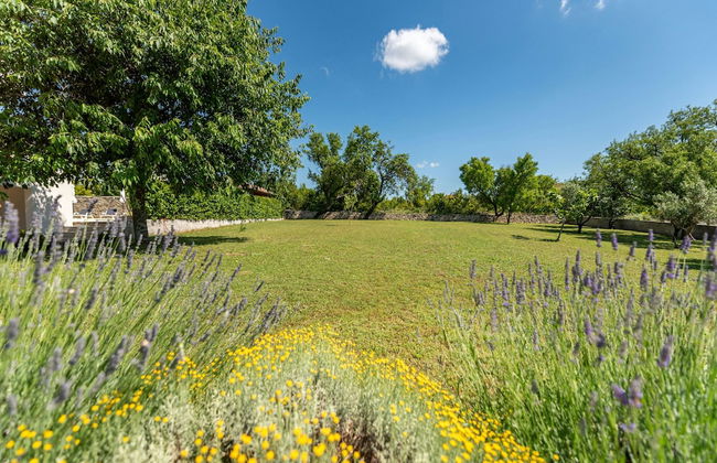 Villa Basil - Foto 37