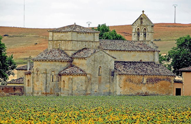Finca Santa Eufemia - Foto 43