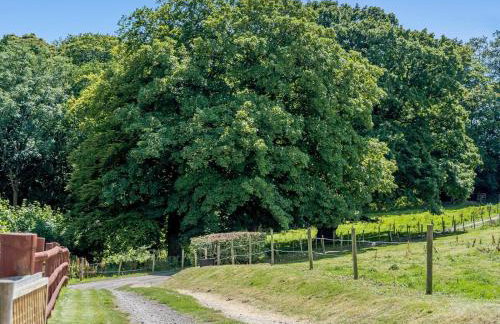 2 Bed in Sidmouth oc-50004 - Foto 23