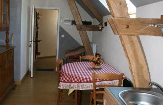 Biologite - Foto 24