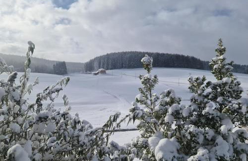 Ferienhaus Wendelhof - Foto 27