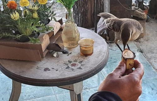 Chalés Alcantilado - Morada Sol e Lua - Photo 7