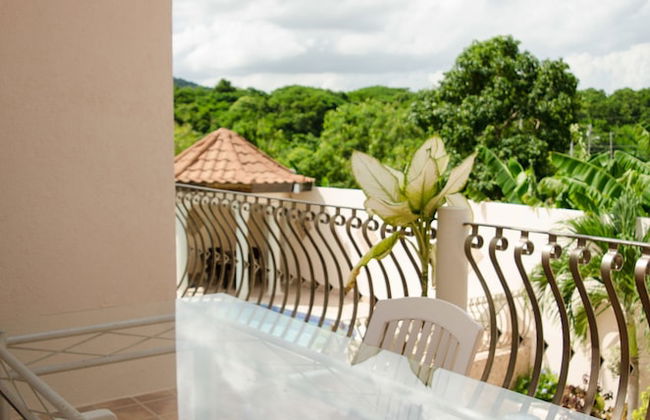 Micala Estate - Foto 21