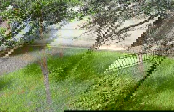 Kalpazo Tirana Vila 313 - Foto 37