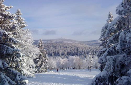 Gästehaus Tröbs - Foto 35