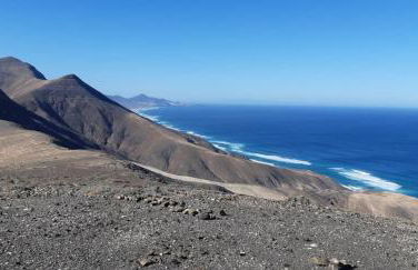 Palm Point - Photo 9