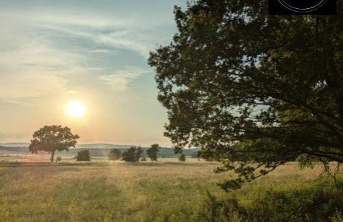 Kleine Sonnenstrahl-Oase - Photo 16