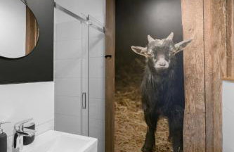 Aparthotel Narciarska 2 - Foto 59