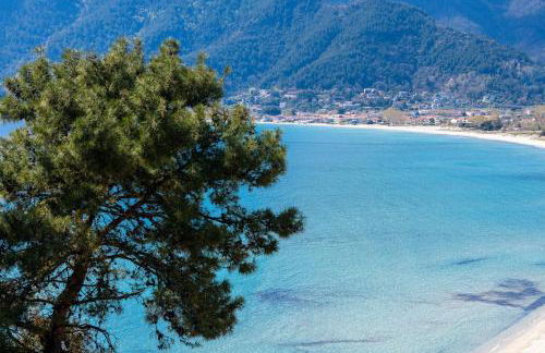 Archetypo Luxury Living - Foto 46