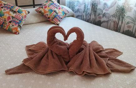 VILLA CHRIS Ocean View - Foto 2