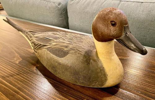 Drake on the Lake - False River, LA - Foto 18