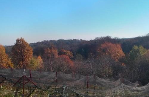 Studio apartman Šafarić - Foto 44