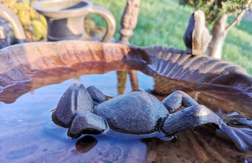 Piece of Greece - Foto 24