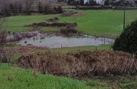 Quinta do Fortunato-Casa dos Caseiros-Minho, Viana do Castelo, Meixedo-Turismo rural - Foto 13