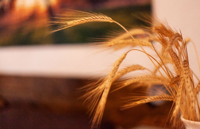 Cortijo Vizconde - Photo 21