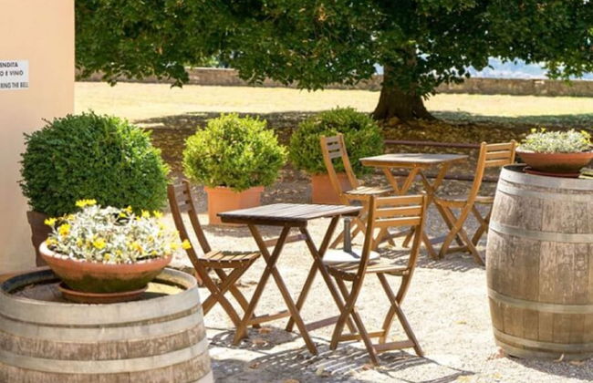 House in Tuscany With Pool & Olive Grove Views - Foto 1