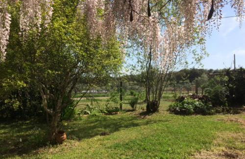 Monte do Rei Santo - Foto 16