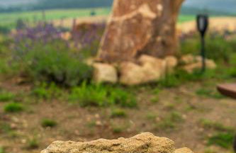 Moon Hill's Lord - Foto 6