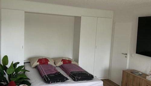 Fewo Austria Dreisessel in Altreichenau - Foto 5