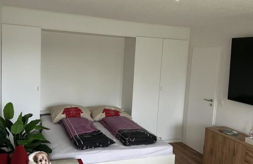 Fewo Austria Dreisessel in Altreichenau - Foto 5