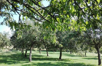 Gite LA ROCHERIE - Foto 33
