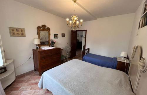 Tenuta Poggio alla Farnia - Foto 33