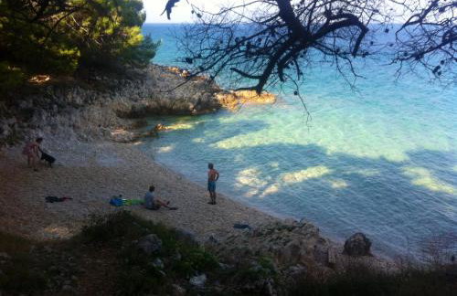 4 Roses Apartment - Photo 39